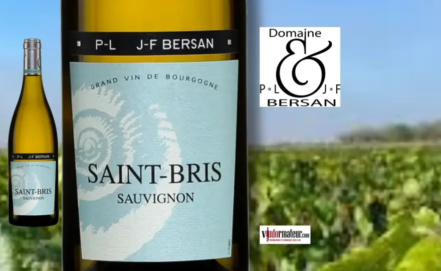 Saint-Bris: les meilleurs accords mets et vins pour sublimer ce blanc
