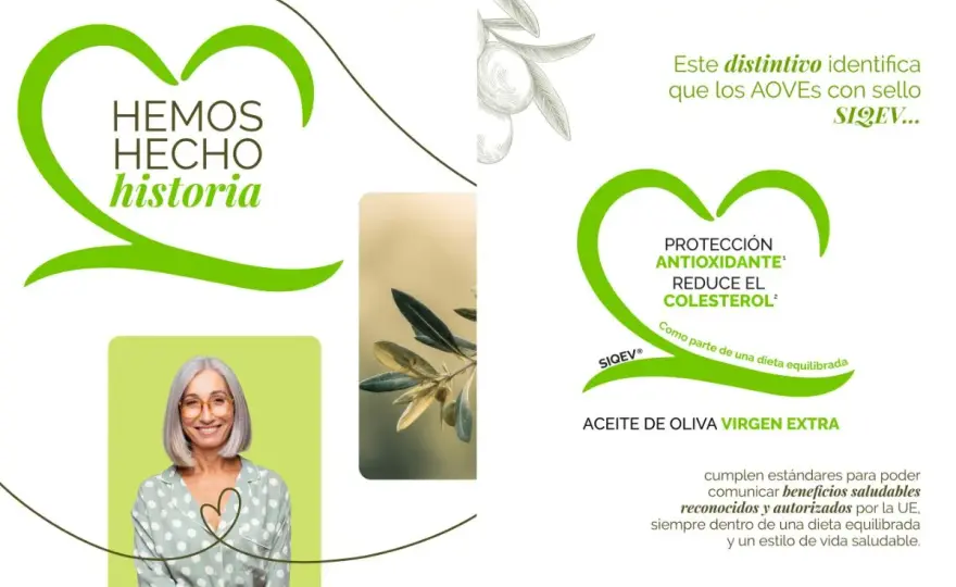 Aceite de oliva - ¿Es vegetal? Despeja dudas y elige bien