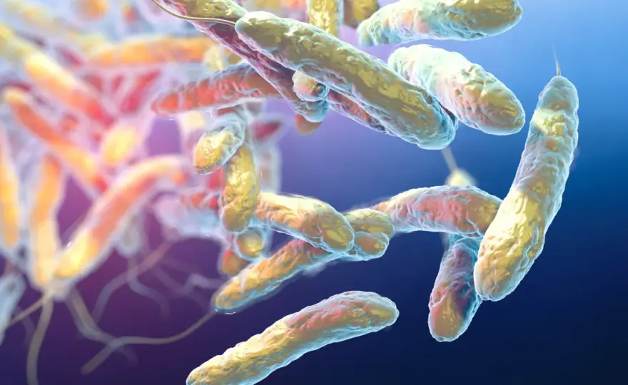 Legionella skąd się bierze i jak się jej wystrzec w codziennym życiu