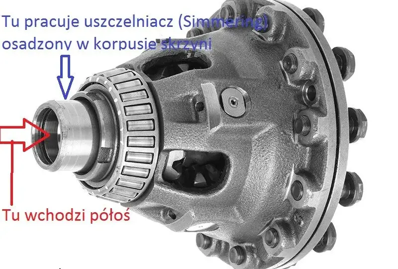 Luz półosi w skrzyni biegów objawy, które mogą kosztować cię majątek