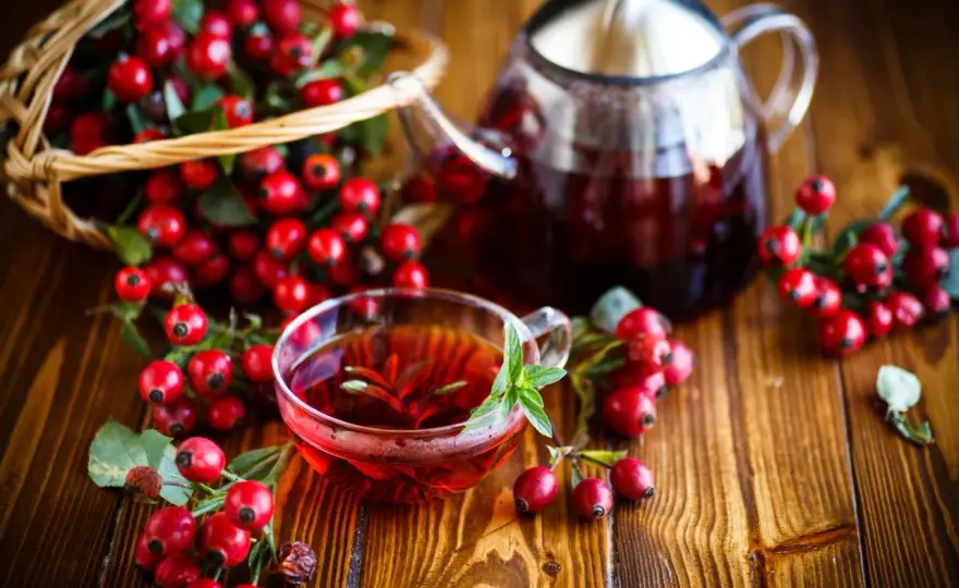 Domowa herbata z dzikiej róży - prosty przepis na naturalny napój