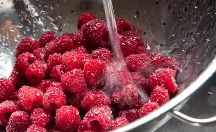 Himbeeren frisch halten - Warum Waschen oft ein Fehler ist