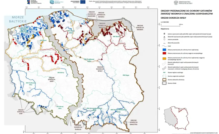 Gdzie żyją goryle? Mapa siedlisk i miejsca obserwacji