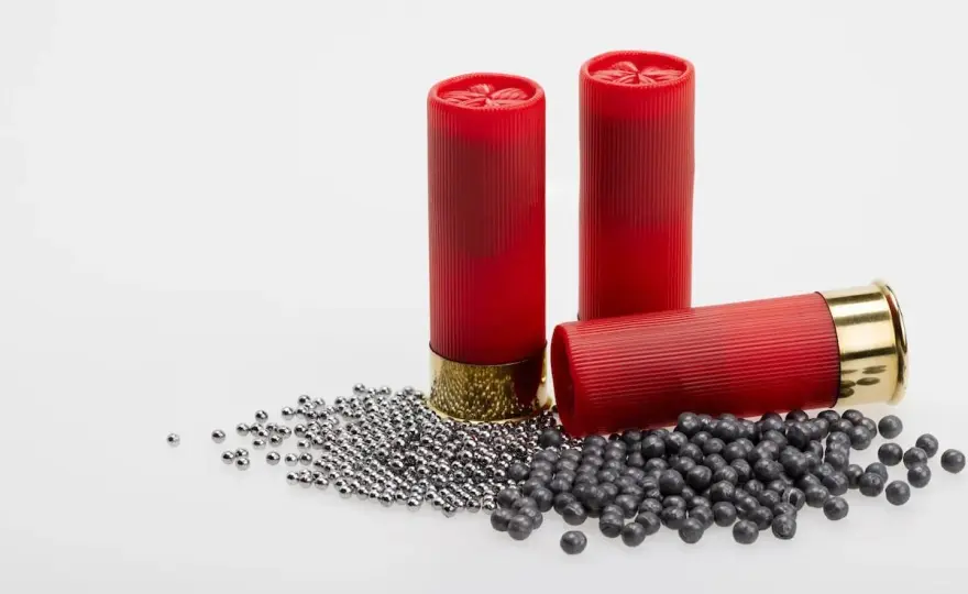 Munitions au plomb - Interdites ? Ce qu'il faut savoir