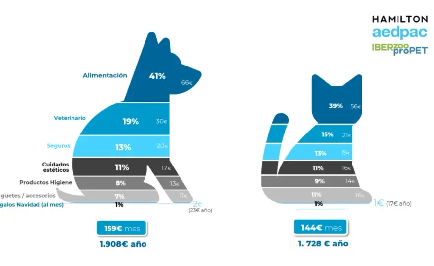 Coste de un perro en España - ¿Cuánto gastas realmente al mes?