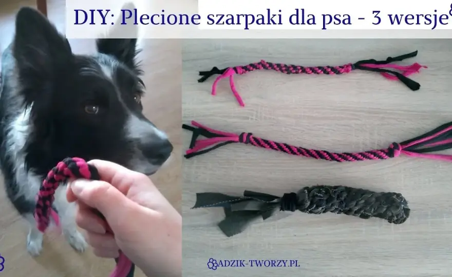 Jak zrobić szarpak dla psa DIY? Poradnik krok po kroku!