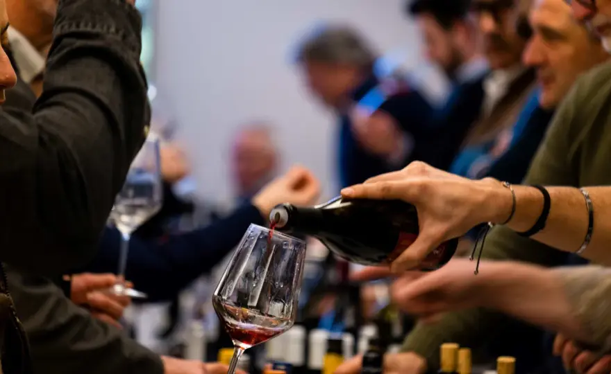 Vermentino - Oltre il "sa di mare": guida completa al vitigno