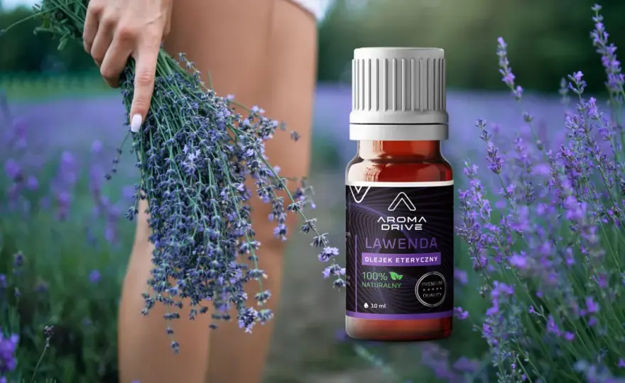 Komary? Zrób naturalny spray lawendowy! Przepis DIY