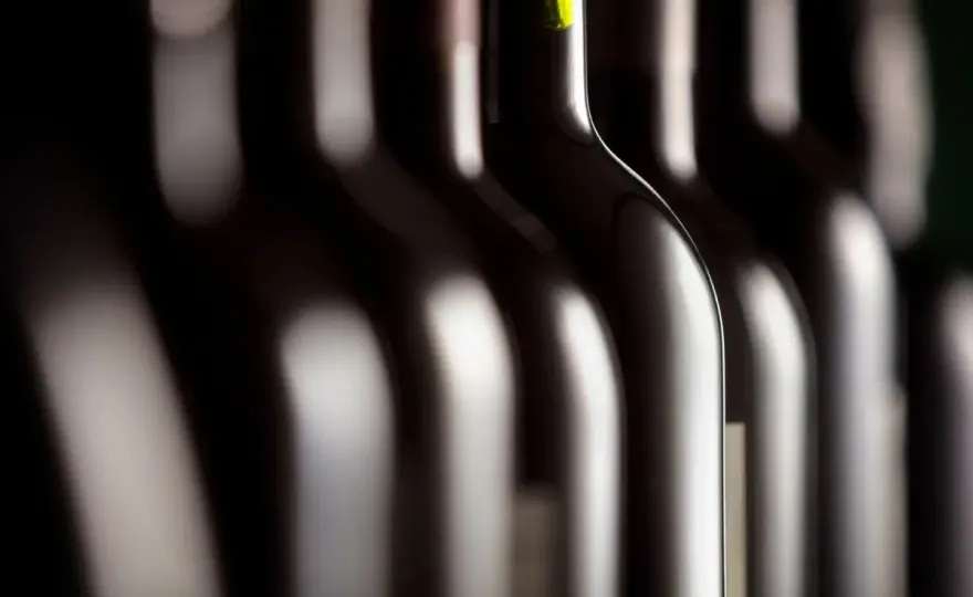 Sasso al Vento - Zwei Weinwelten hinter einem Namen verstehen