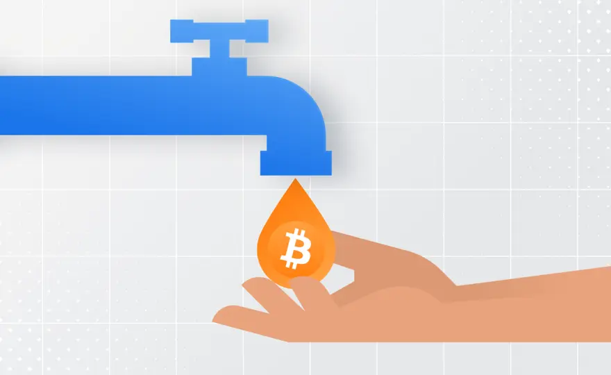 Kraniki kryptowalut - Czym są? Jak działają? Czy warto?