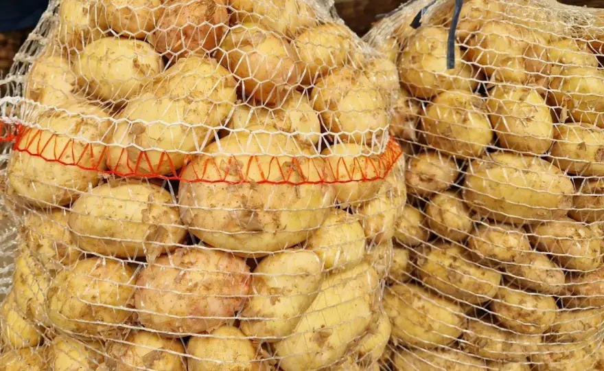 Ile ziemniaków na osobę? Precyzyjny poradnik (200-250g!)