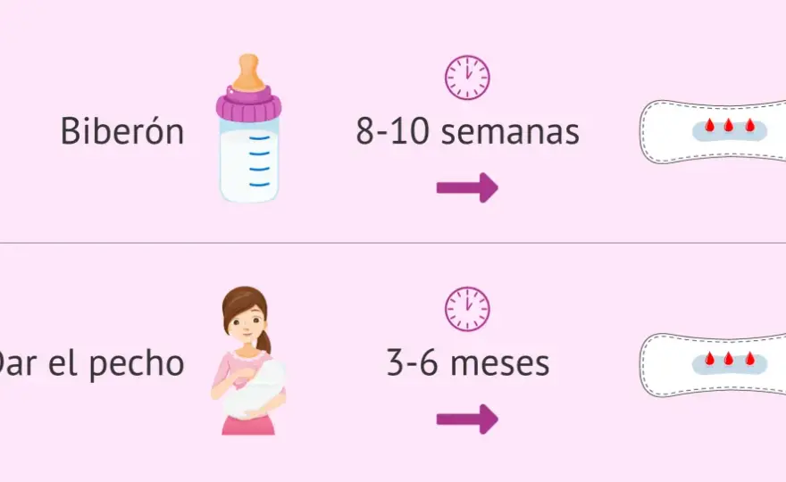Regla temprana posparto - ¿Loquios o menstruación? Descúbrelo.