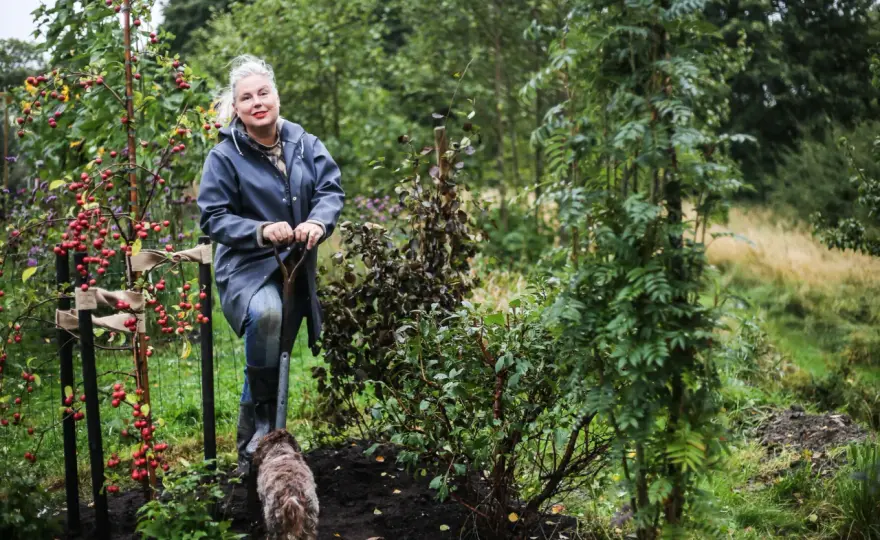 Perennrabatt - Skapa en lättskött oas som blommar länge