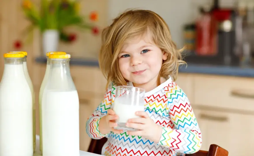Latte vaccino ai bambini - da quando e quale scegliere?