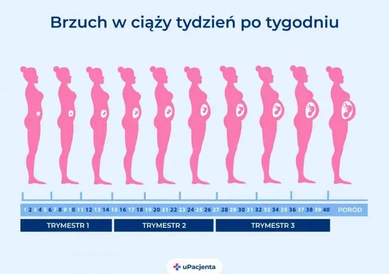 Ile trwa ciąża? Oblicz termin porodu i poznaj kluczowe etapy!