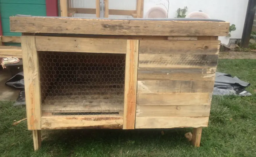 Jak zrobić klatkę dla królika? Praktyczny przewodnik DIY
