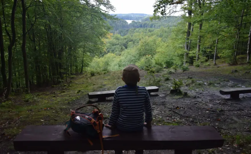 Szczelina Lechicka na Kaszubach - spacer z widokiem na jeziora