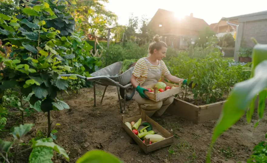 Was kann man im Mai pflanzen? Der einfache Plan für den Nutzgarten