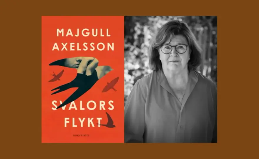 Axelsson - Sun eller Majgull? Skilj dem åt snabbt!