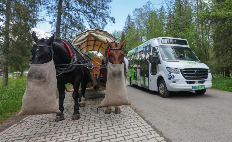 Busy na Morskie Oko - gdzie kończą kurs i ile to kosztuje?