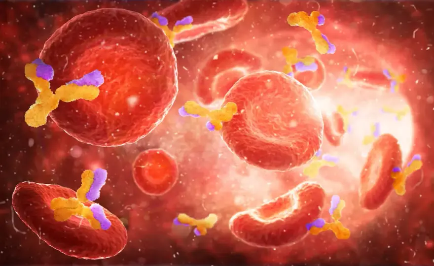 Die komplexe Diagnostik von Autoimmunerkrankungen verstehen