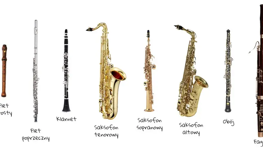 Instrumenty dęte drewniane - rodzaje i charakterystyka brzmienia