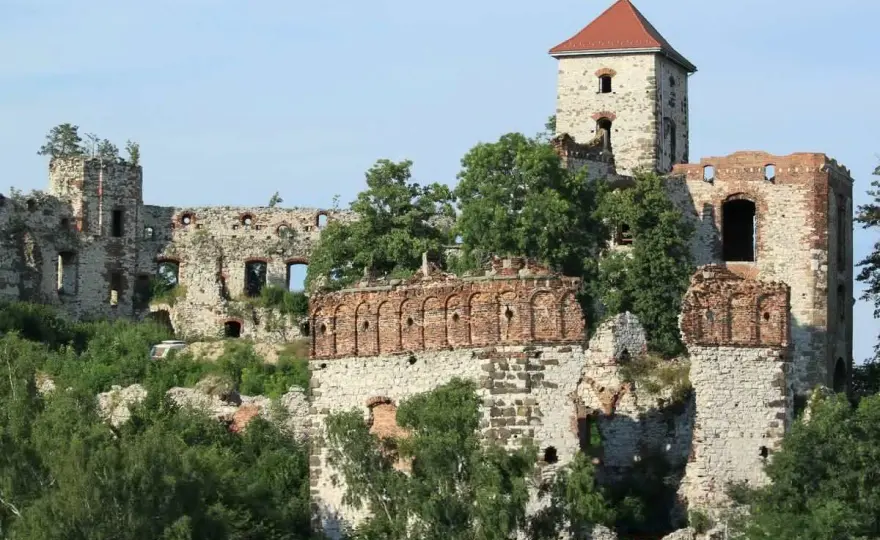 Ruiny Tenczyn - jak czytać historię w murach? Przewodnik