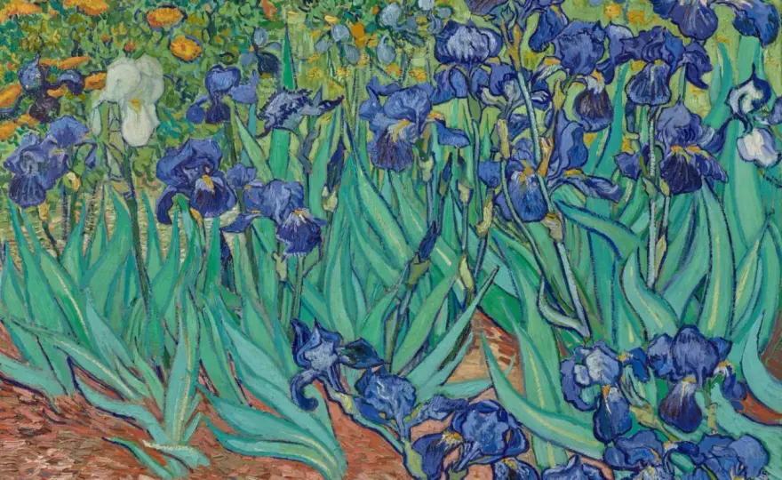 Najsłynniejsze obrazy van Gogha - Jak je czytać i gdzie zobaczyć?