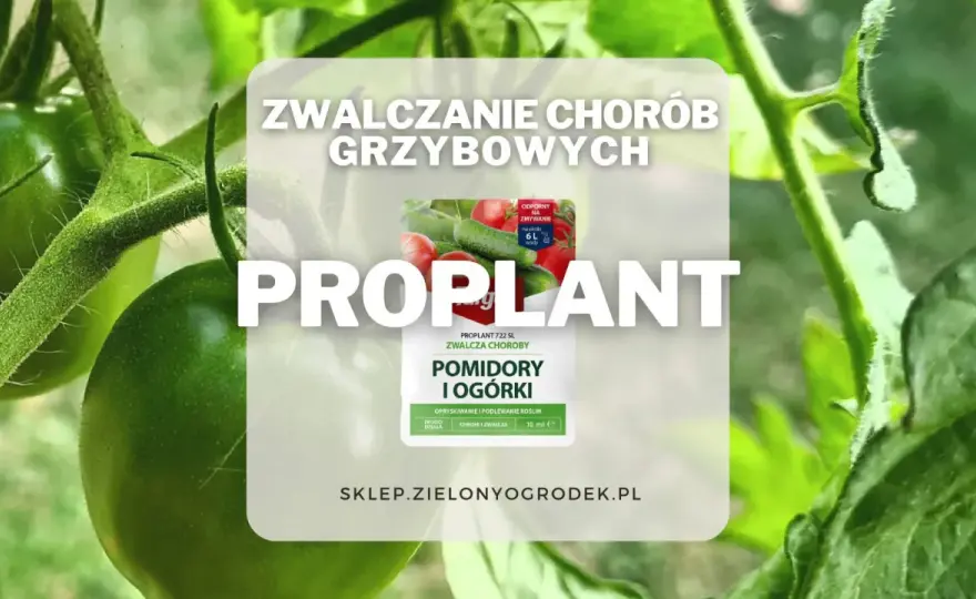 Proplant 722 SL - kiedy podlewać, a kiedy opryskiwać?