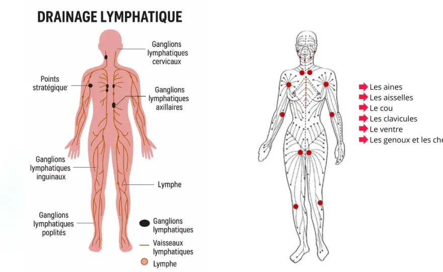 Drainage lymphatique - utile ou à éviter selon les cas ?