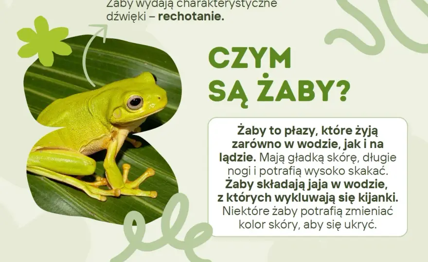 Dzień Żaby - Kiedy wypada i dlaczego jest ważny?