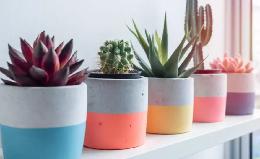 Beton gießen lernen - So gelingen DIY-Projekte fehlerfrei