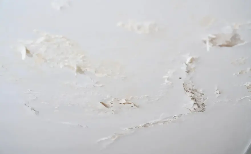 Salpêtre mur intérieur - Éliminer durablement l'humidité