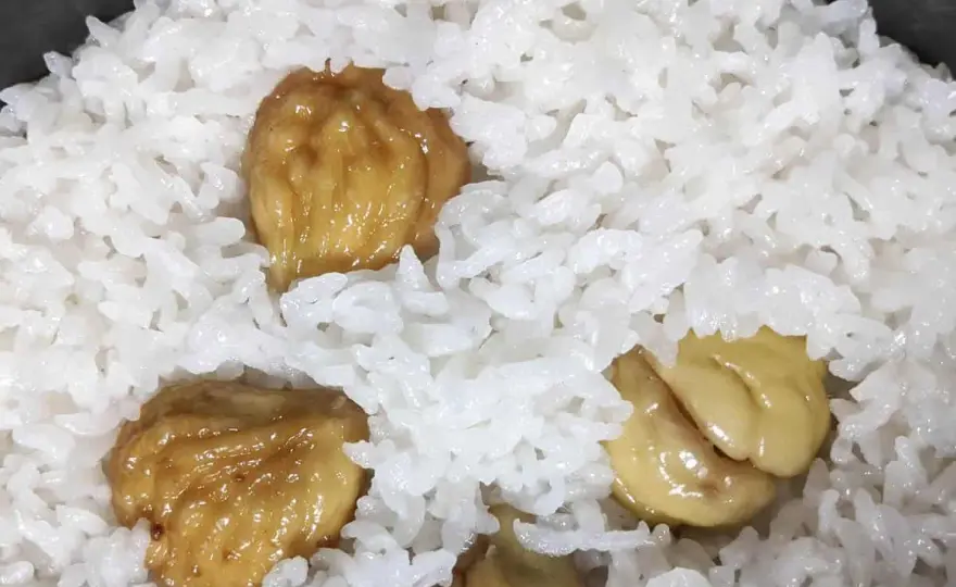 Kuri Gohan - Japanese Chestnut Rice Perfection (Recipe & Guide)