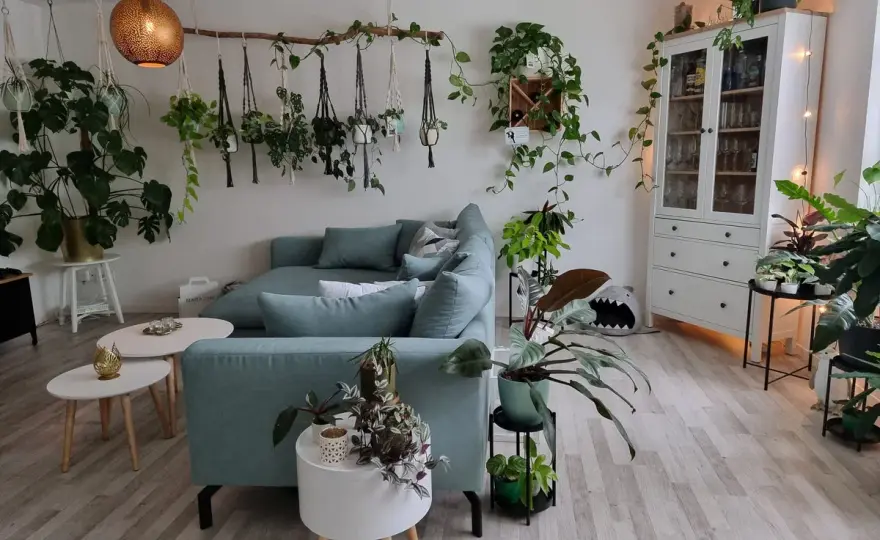 Pflanzen im Wohnzimmer - So wirkt dein Zuhause ruhiger