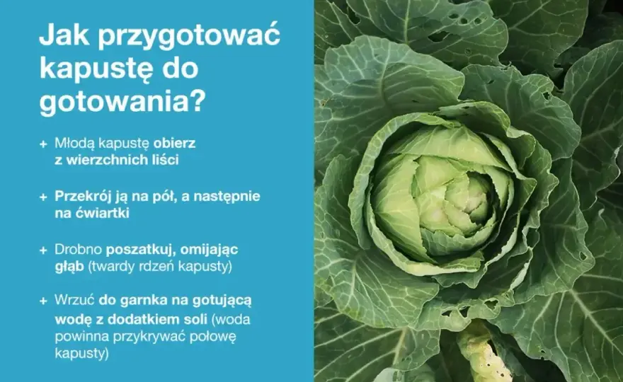 Młoda kapusta - jak wybrać, gotować i nie psuć smaku?