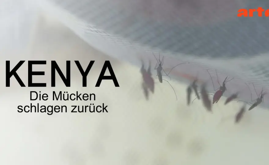 Malaria Kenia - Dein Schutz vor Risiken & Mückenstichen