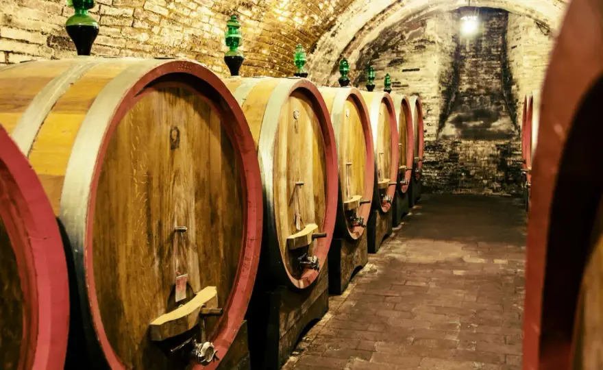 Cantine Toscana - Guida definitiva per la tua visita perfetta