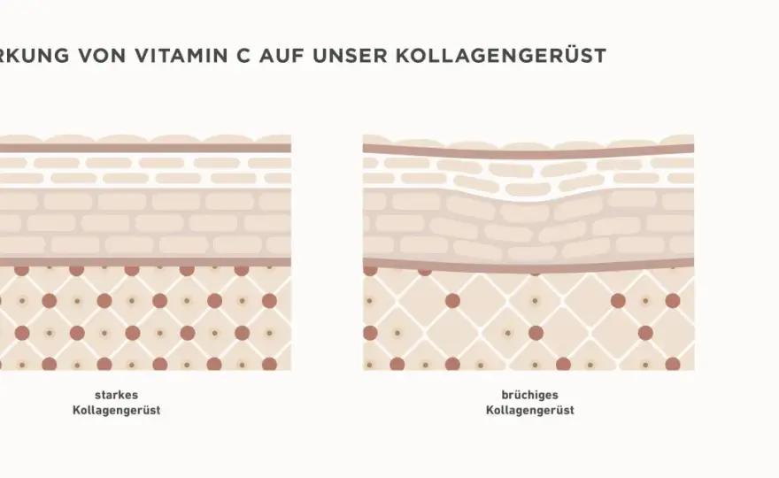 Vitamin C in der Hautpflege – Was wirklich wirkt