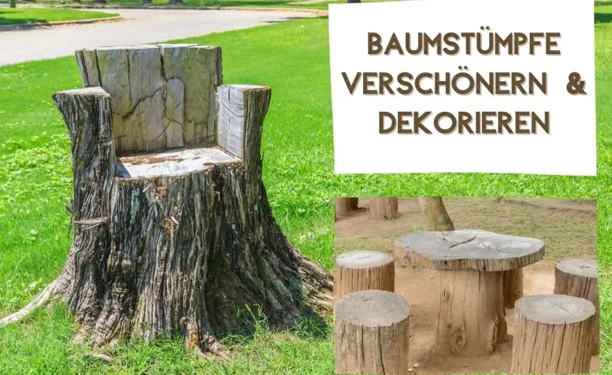 Baumstamm im Garten nutzen - Ideen für Hocker, Deko und Pflanzkübel