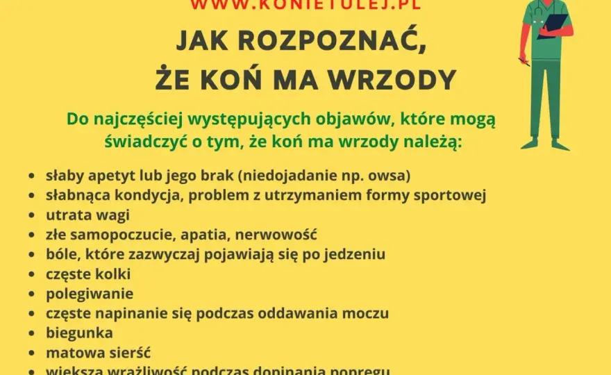 Objawy wrzodów u konia: 5 kluczowych sygnałów ostrzegawczych