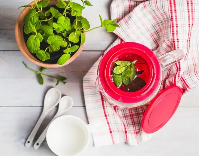 Jak prawidłowo zaparzać herbatę, aby uniknąć gorzkiego smaku i cieszyć się aromatem