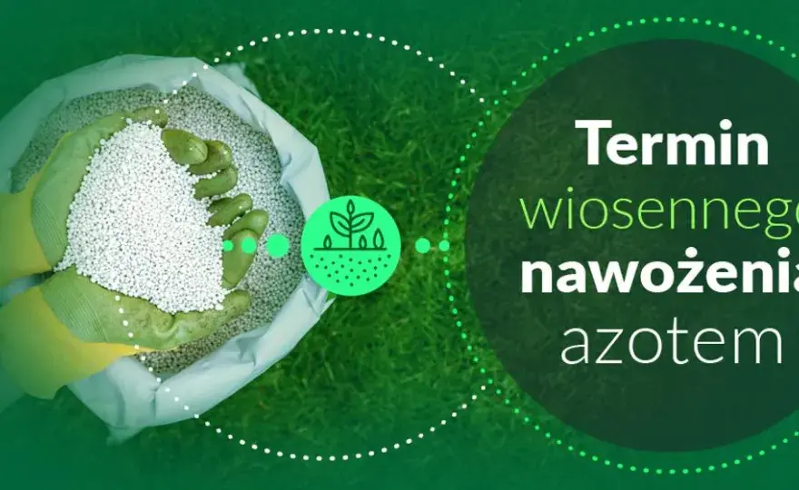 Kiedy można siać nawozy azotowe wiosną? Sprawdź kluczowe warunki