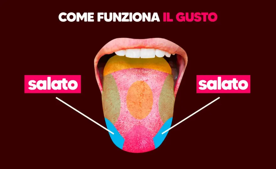 Sapore salato in bocca - Cause e quando preoccuparsi