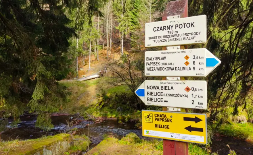Co oznaczają kolory szlaków rowerowych? Odkryj ich znaczenie i typy