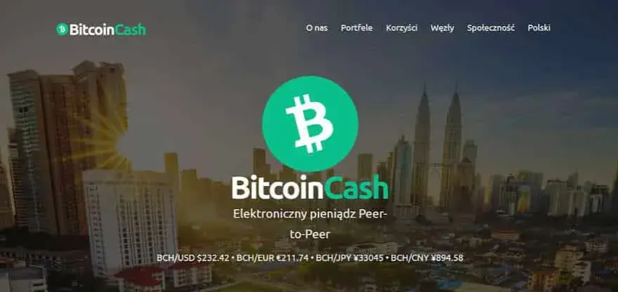 Bitcoin Cash czy warto: Analiza opłacalności inwestycji w BCH
