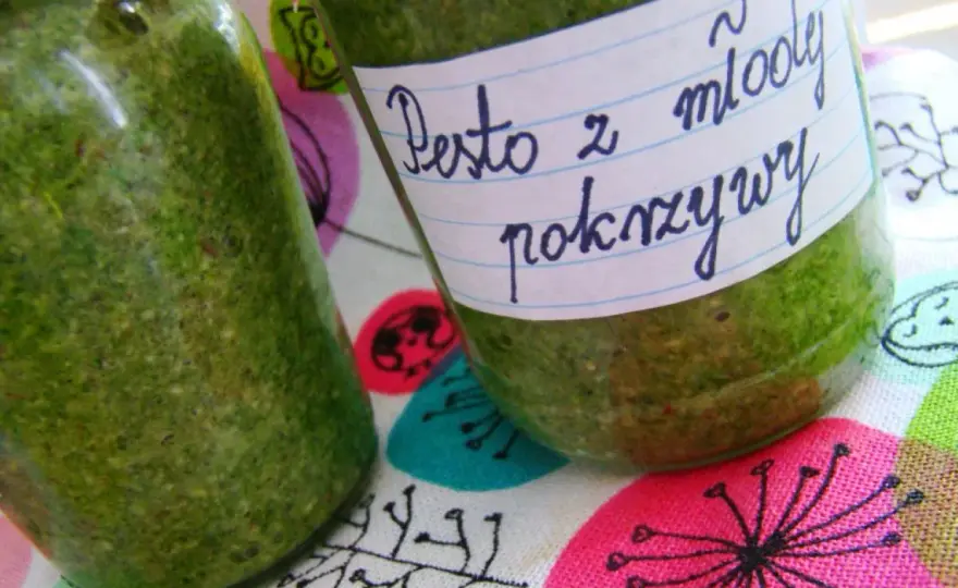 Sos z młodej pokrzywy - Jak zrobić idealne pesto bez goryczy?