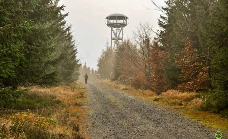 Jagodna - Schronisko, wieża, szlaki. Czy warto?