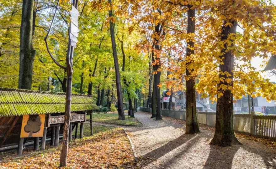 Kozia Góra z Cygańskiego Lasu - trasa, czas i warianty