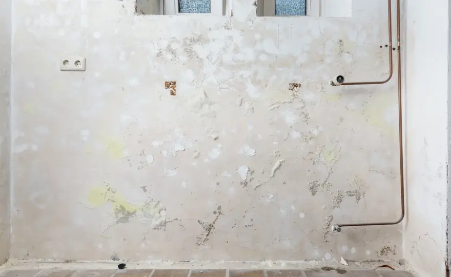 Salpeter an der Wand - Was tun bei weißen Ausblühungen?